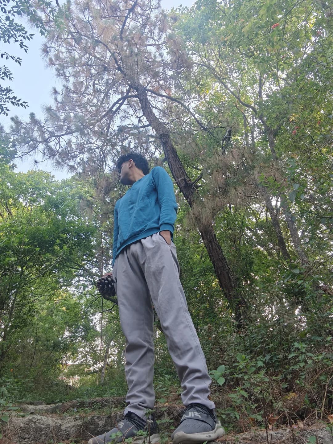 Aarush standing beneath a tall forest canopy.