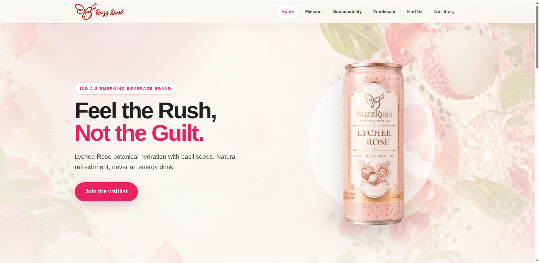 BuzzRush product presentation.