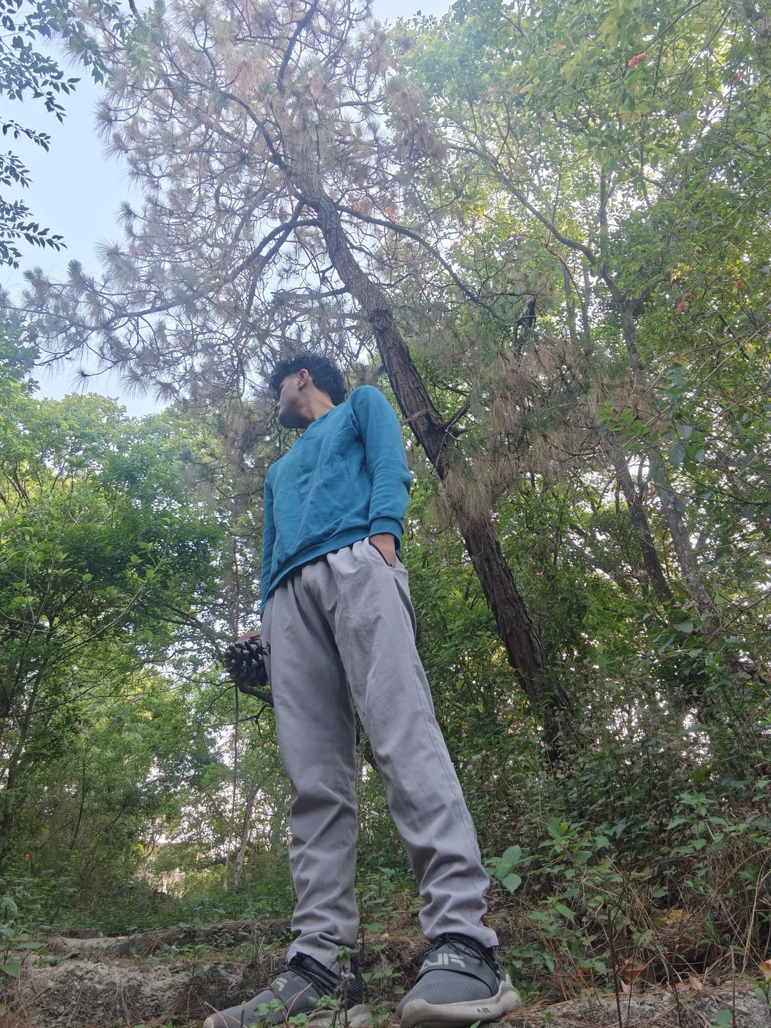 Aarush standing beneath a tall forest canopy.